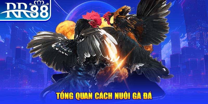 vn88pro game nổ hũ rút tiền mặt là gì