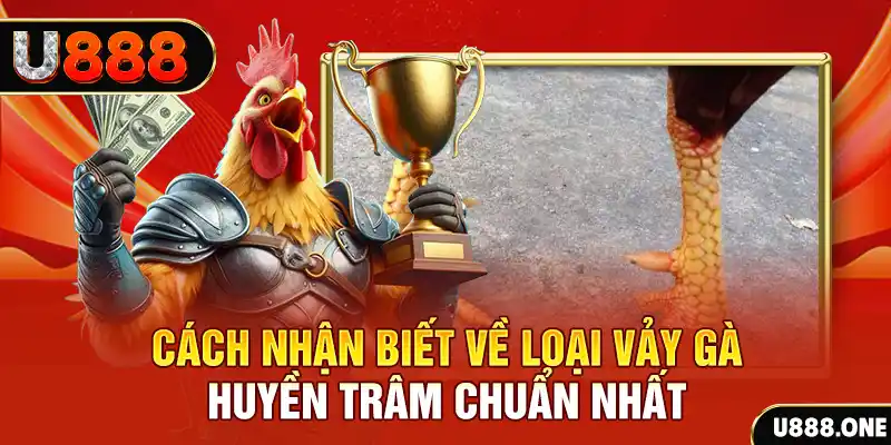 vn88pro đăng nhập nổ hũ số 1