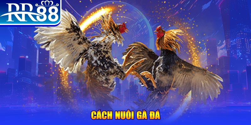 vn88pro đăng nhập phỏm đổi thưởng