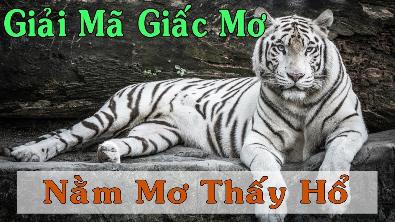 vn88pro nổ hũ là game gì