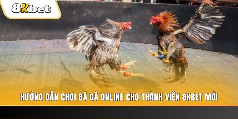vn88pro JILI Game Bài 3d