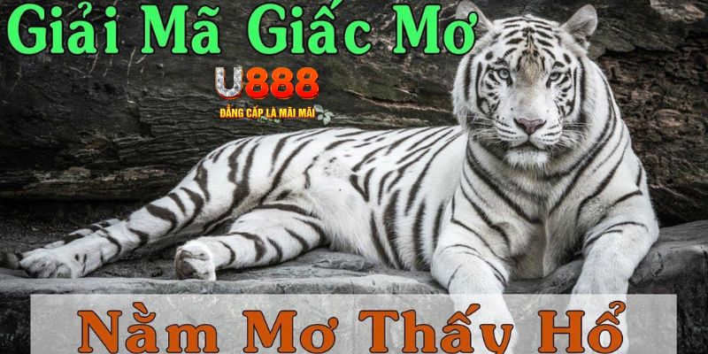 vn88pro xổ số miền bắc xổ số miền bắc
