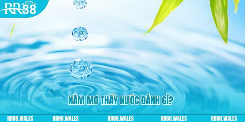 vn88pro TCG Xổ Số