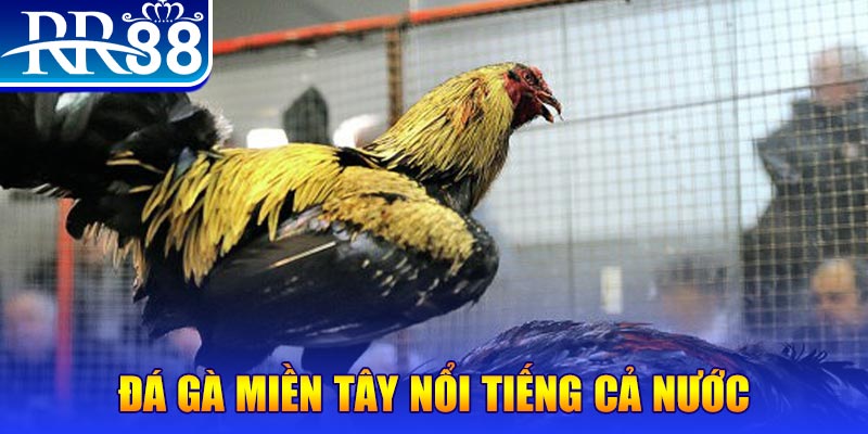 vn88pro xổ số đại phát