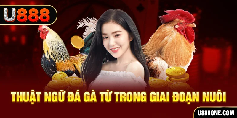 vn88pro xổ số miền bắc 90 ngày