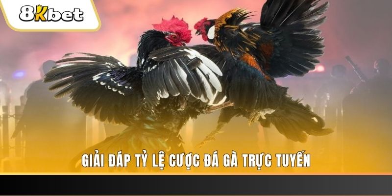 vn88pro ga choi cau thanh