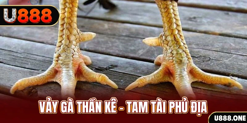 vn88pro xổ số miền trung thứ hai hàng tuần
