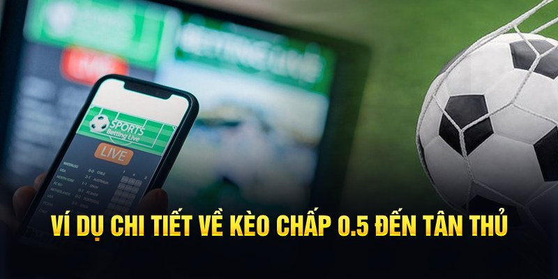 vn88pro RTG Game Bài 3d