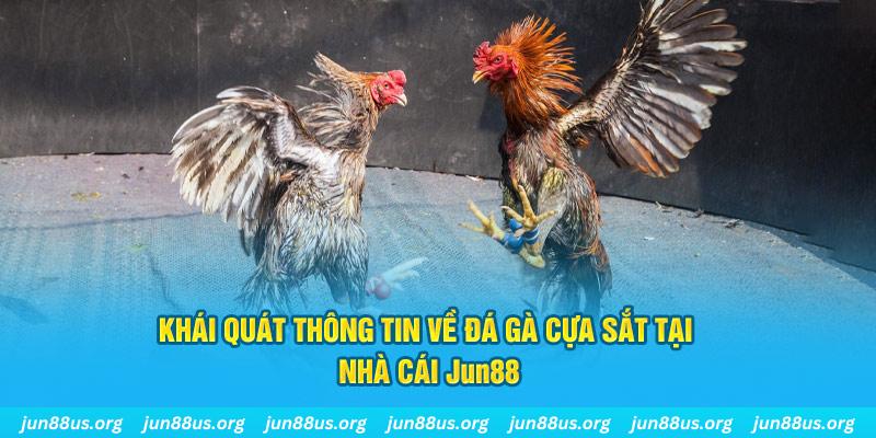 vn88pro xổ số miền bắc thứ bảy hàng tuần