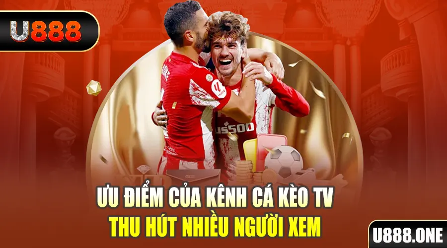 gà chọi cu cần