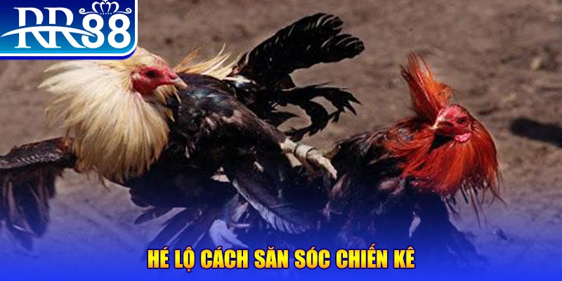 vn88pro xổ số miền trung thứ tư