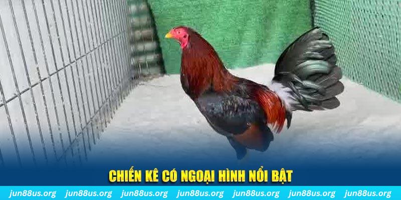 vn88pro game bắn cá
