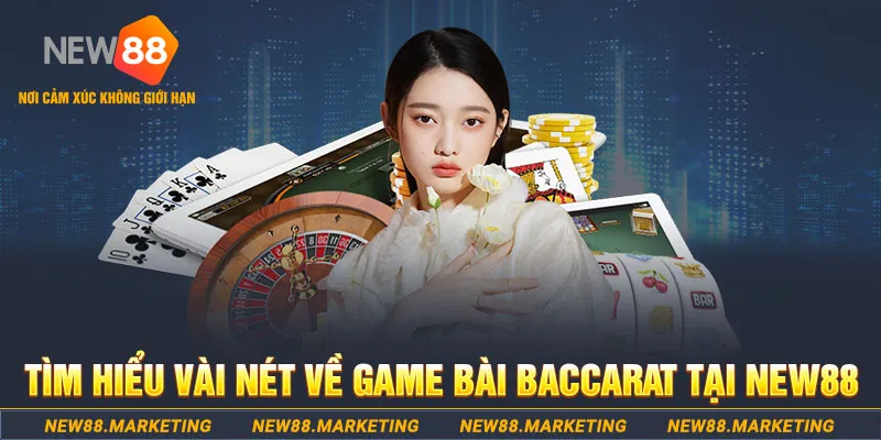 vn88pro gà chọi c1 ô taxi