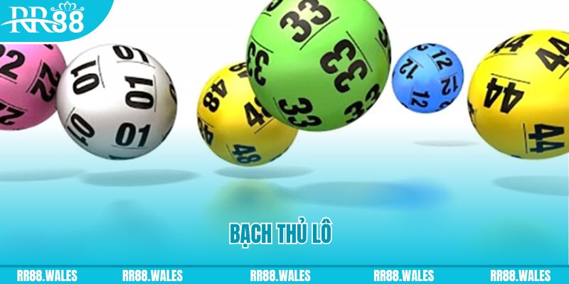 vn88pro ÁT CHỦ MÁY HOA QUẢ THẦN TÀI