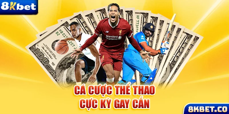 vn88pro xem đá gà trực tiếp
